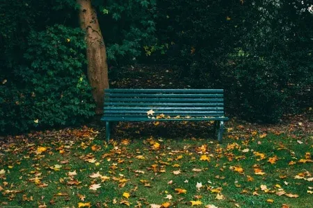 Entretien des espaces verts d’une commune