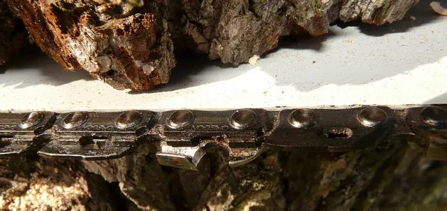 Chaînes de tronçonneuse
