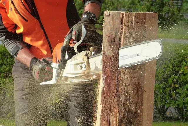 prix tronconneuse electrique