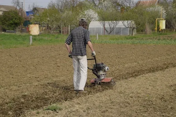Vente de motoculteur